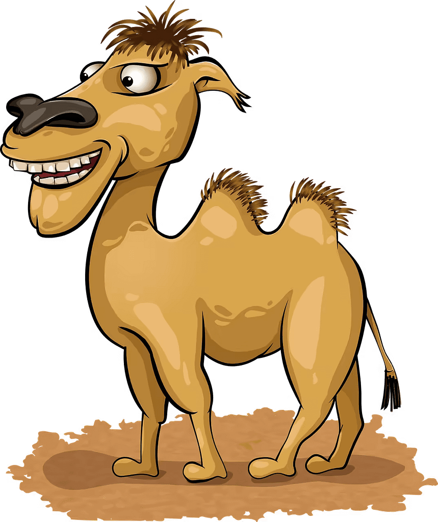 camel-milk